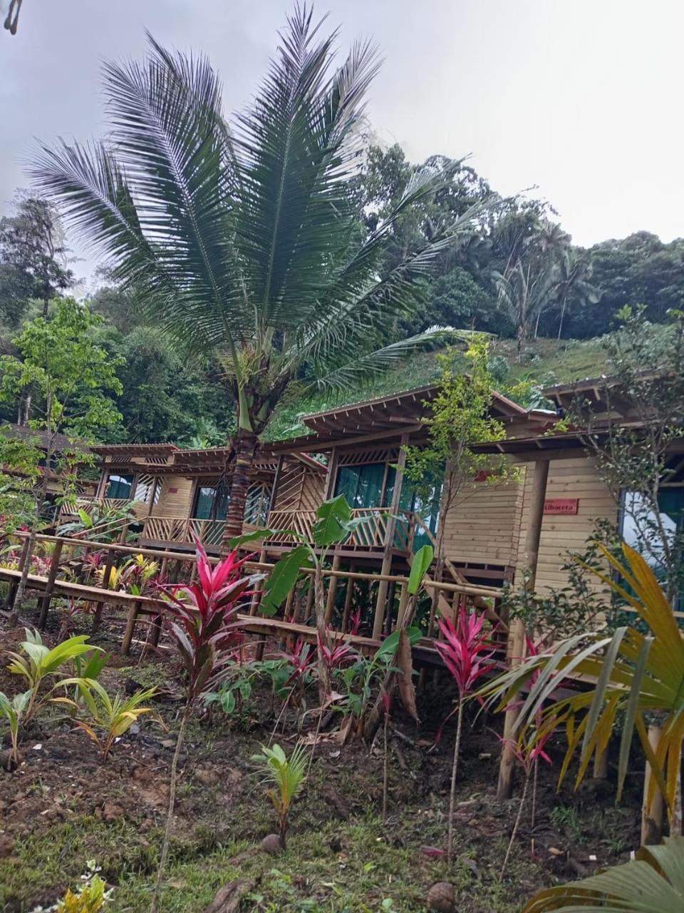 Pacific Nuqui Lodge Exterior foto